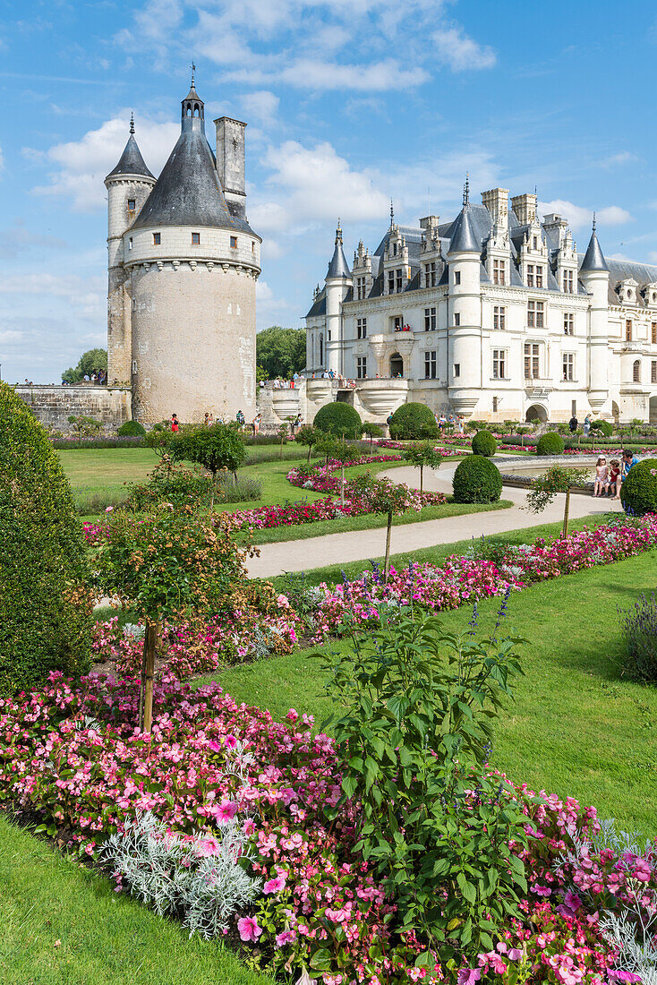 Summer flowers in the park of Chenonceau castle, UNESCO World Heritage Site, Chenonceaux, Indre-et-Loire, Centre, France, Europe