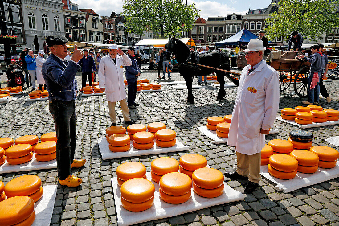 Cheese Market in Gouda, South Holland, Netherlands, Europe