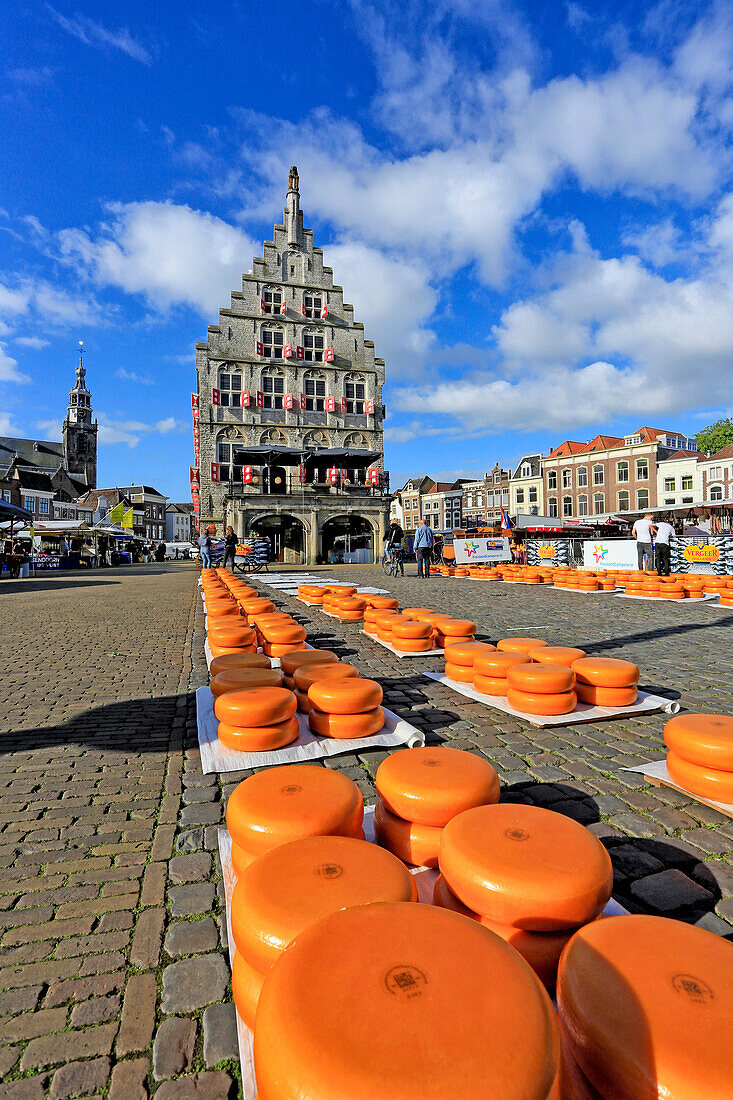 Cheese Market in Gouda, South Holland, Netherlands, Europe
