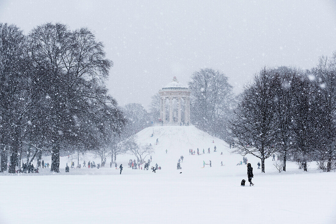 Sledging during Snow Fall at Monopteros, English Garden, Munich, Germany