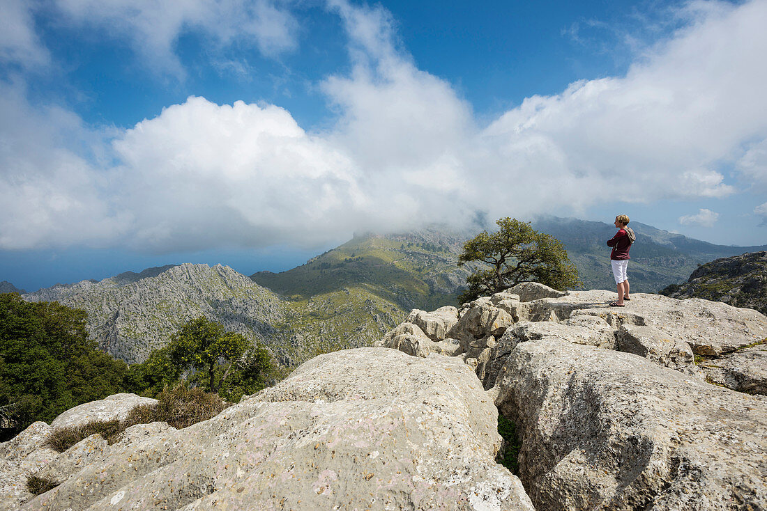 Blick auf das Tramuntana-Gebirge, Mallorca, Balearen, Spanien