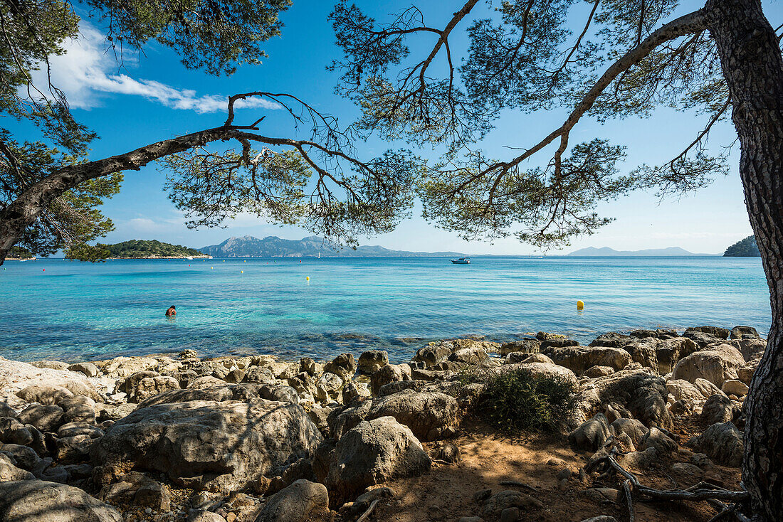 Platja Formentor, Kap Formentor, Port de Pollença, Serra de Tramuntana, Mallorca, Balearen, Spanien