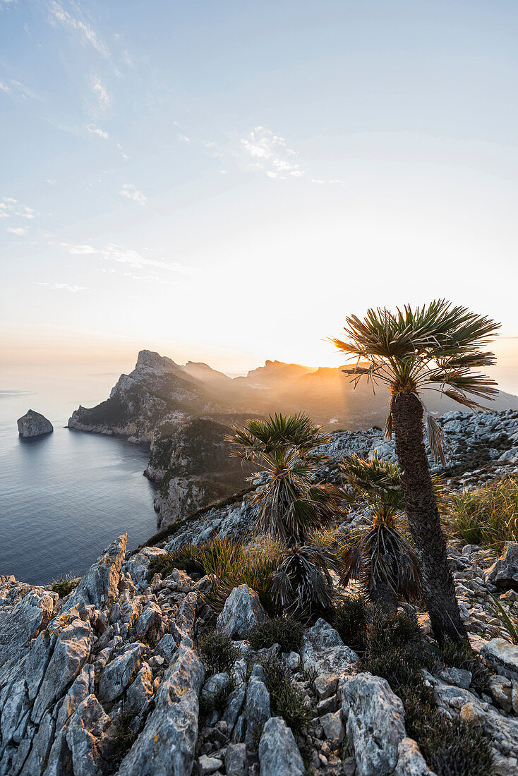 Sonnenaufgang, Kap Formentor, Port de Pollença, Serra de Tramuntana, Mallorca, Balearen, Spanien