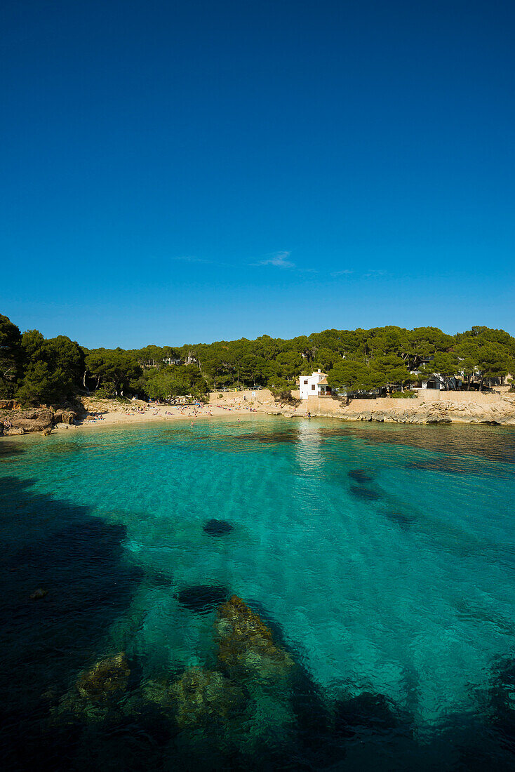 Cala Gat, Cala Rajada, Mallorca, Balearen, Spanien