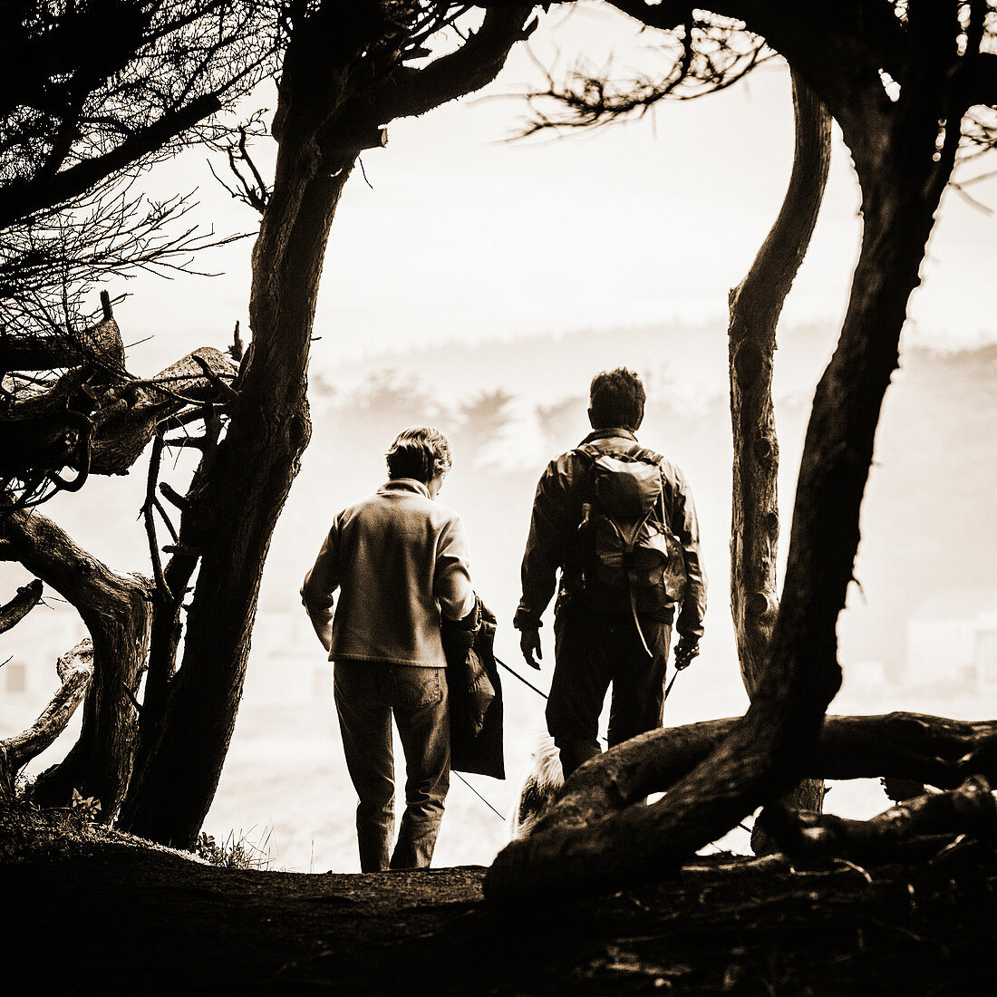 Rear view of two women walking their dogs at Sea Ranch in Sonoma County, California. This image is sepia toned.