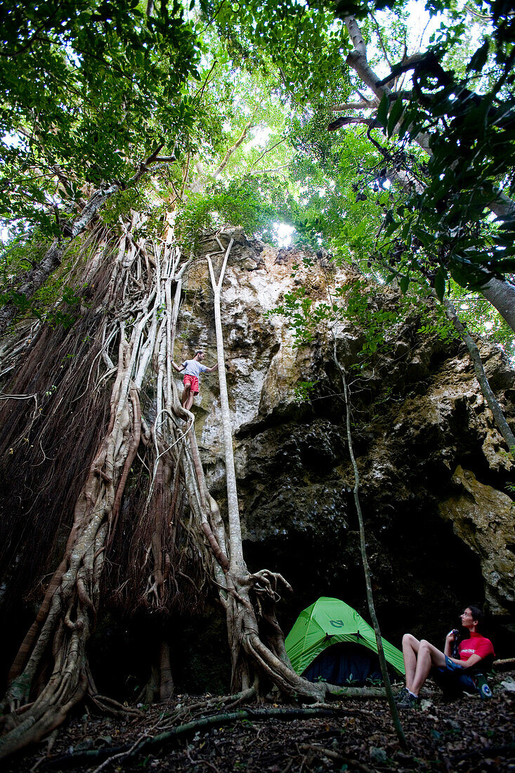 AIWA, FIJI. After climbing up, Joe Orteaga stands on a massive network of roots on an uninhabited island in the South Pacific. Dr. Sharyn Jones watches from below.