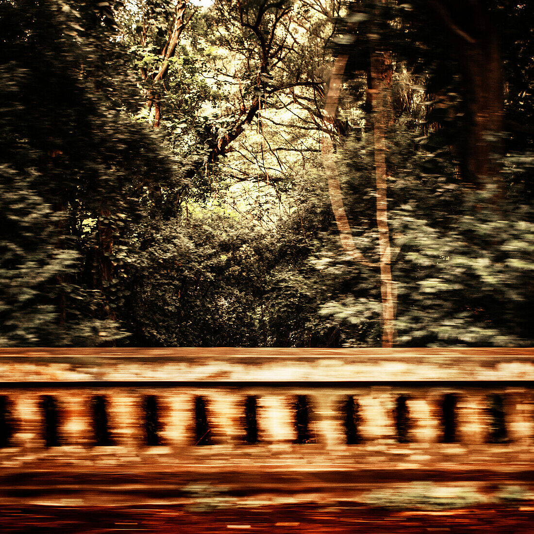 Bridge barrier and foliage with motion blur.