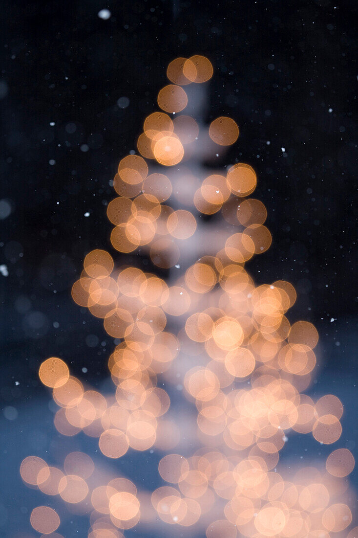 Blurred out view of Christmas lights on tree.