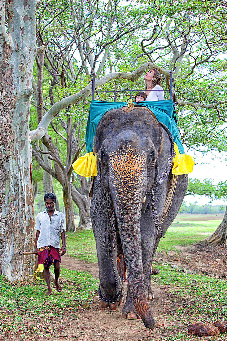 Sri Lankan mother and daughter on an Asian elephant, Sri Lanka, Asia