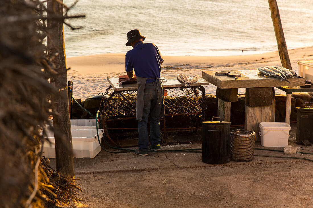 man fillets a fish at Lamberts Bay in South Africa