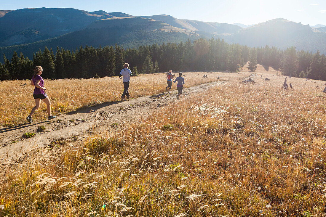 Friends run together through a meadow on a track towards Elk Ridge, White River National Forest, Colorado.
