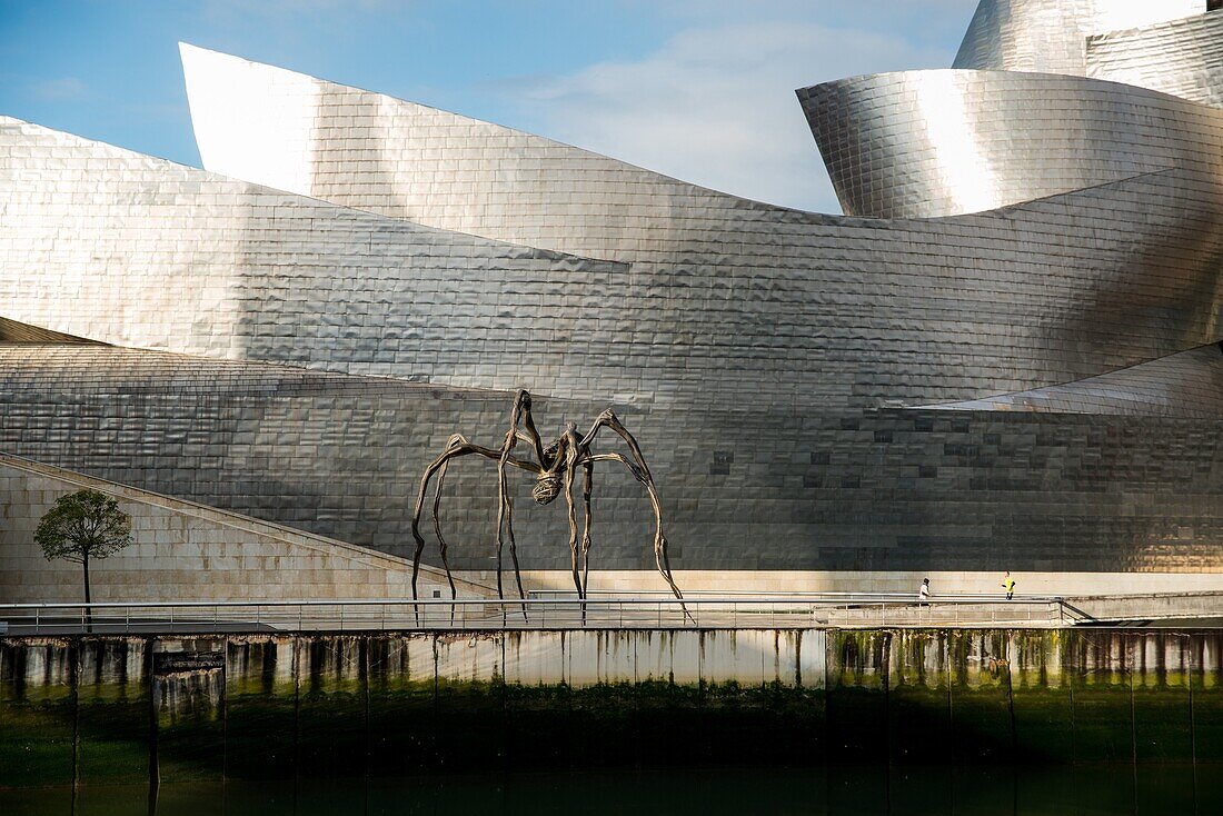 Museo Guggenheim Bilbao Vizcaya Basque Country Spain Europe