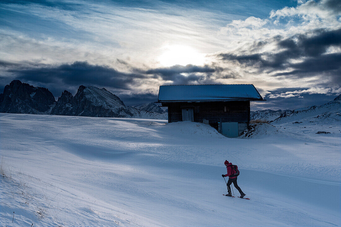 Alpe di Siusi Seiser Alm, Dolomites, South Tyrol, Italy Snowshoe hiker on plateau Bullaccia Puflatsch In the background the peaks of Sassolungo Langkofel and Sassopiatto Plattkofel