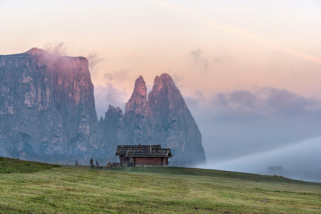 Alpe di Siusi Seiser Alm, Dolomites, South Tyrol, Italy Autumn sunrise on the Alpe di Siusi Seiser Alm In the background the peaks of Sciliar Schlern