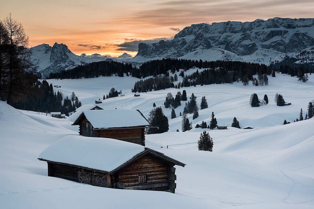 Alpe di Siusi Seiser Alm, Dolomites, South Tyrol, Italy Sunrise on the Alpe di Siusi   Seiser Alm