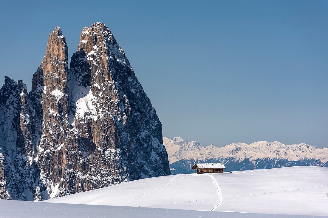 Alpe di Siusi Seiser Alm, Dolomites, South Tyrol, Italy Winter landscape on the Alpe di Siusi Seiser Alm with the peaks of Euringer and Santner