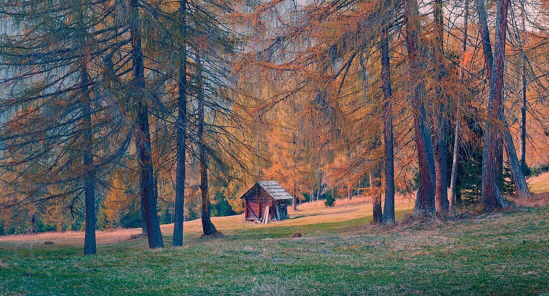 Cabin, auronzo, cadore, veneto, italy, dolomites