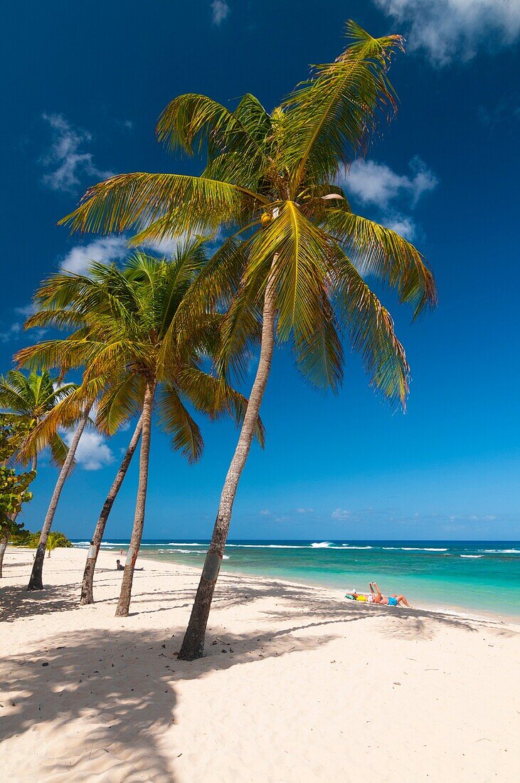 France, Guadeloupe Island, Anse-Bertrand beach