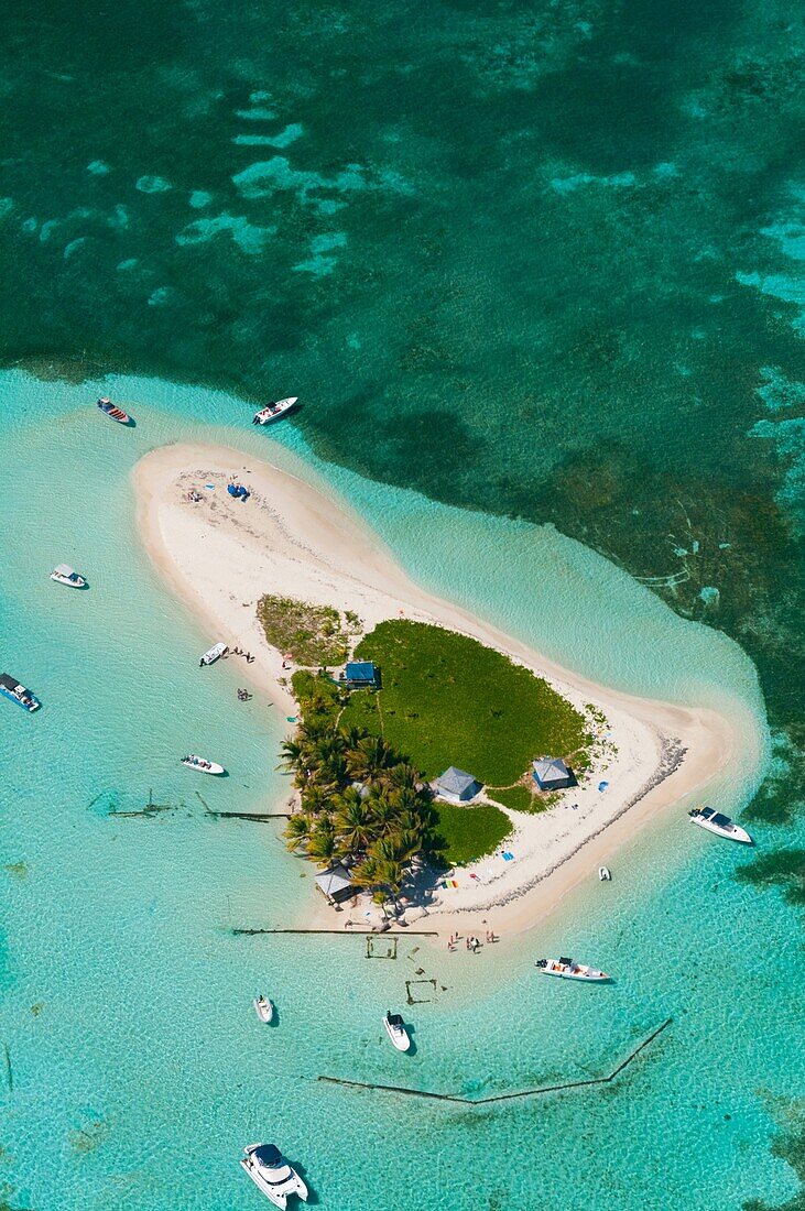 France, Guadeloupe Island, Sainte Rose, Grand cul de sac marin, Caret islet