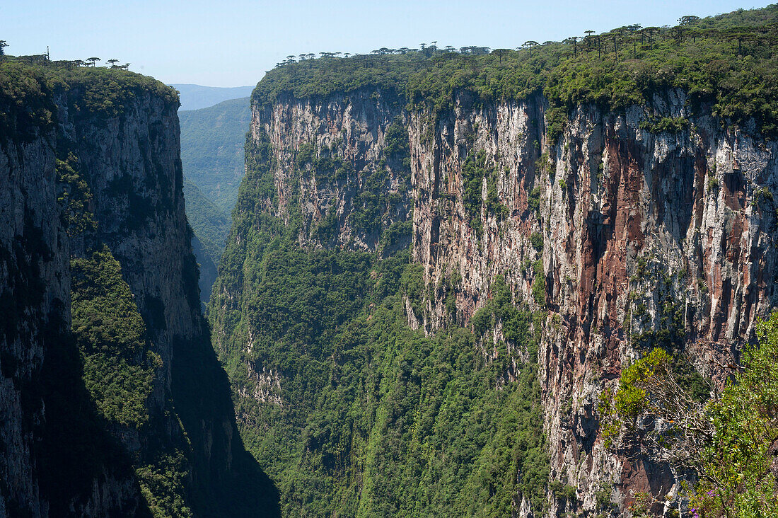 National Park of Serra Geral - Rio Grande do Sul - Brazil