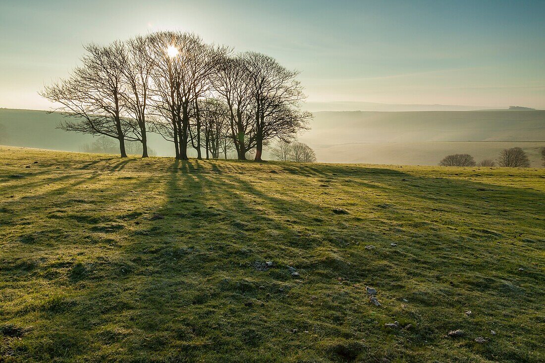 Spring morning on the South Downs near Steyning, West Sussex, England