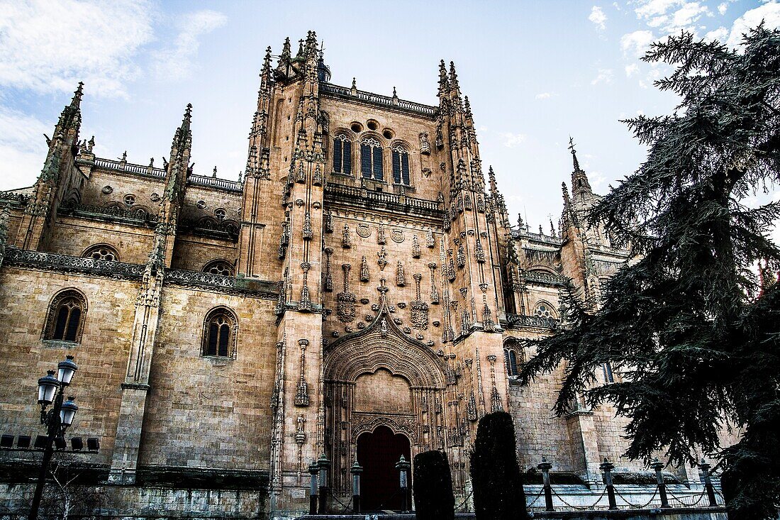 Cathedral of Salamanca (Salamanca, Castilla y Leon, Spain, Europe)