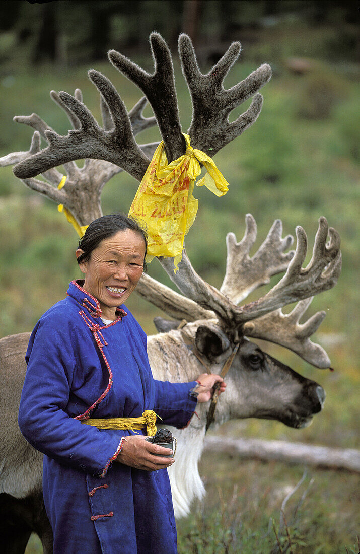Tsaatan woman and reindeer Red taiga Khovsgol province Mongolia