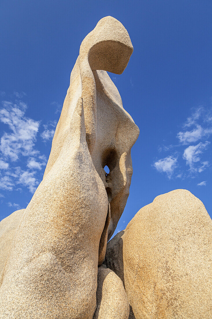 Remarkable Tafoni rock on the Coast at Punta di Campomoro, Campomoro, South Corsica, Corsica, Southern France, France, Southern Europe, Europe