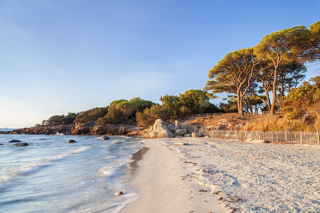 Strand Plage de Palombaggia bei Porto-Vecchio, Südkorsika, Korsika, Südfrankreich, Frankreich, Südeuropa, Europa