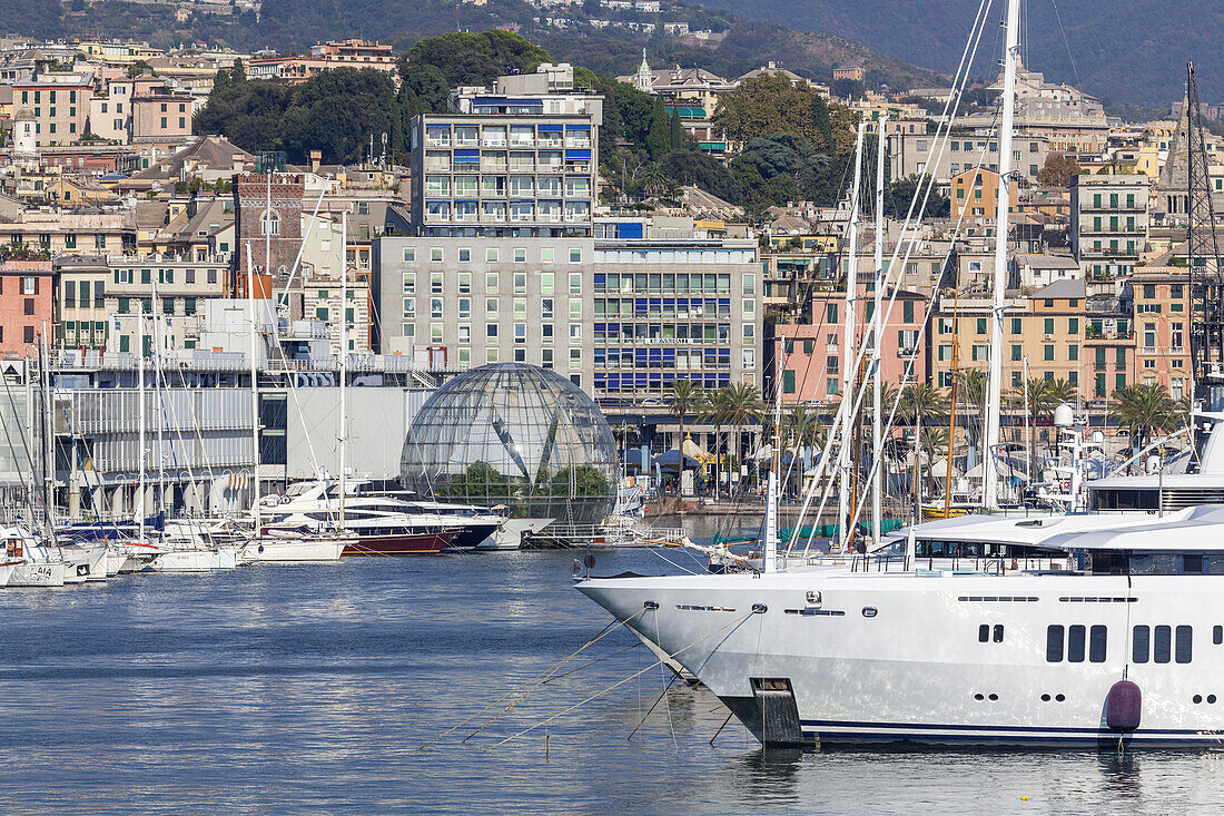 Blick auf Genua von der Fähre, Norditalien, Italien, Südeuropa, Europa