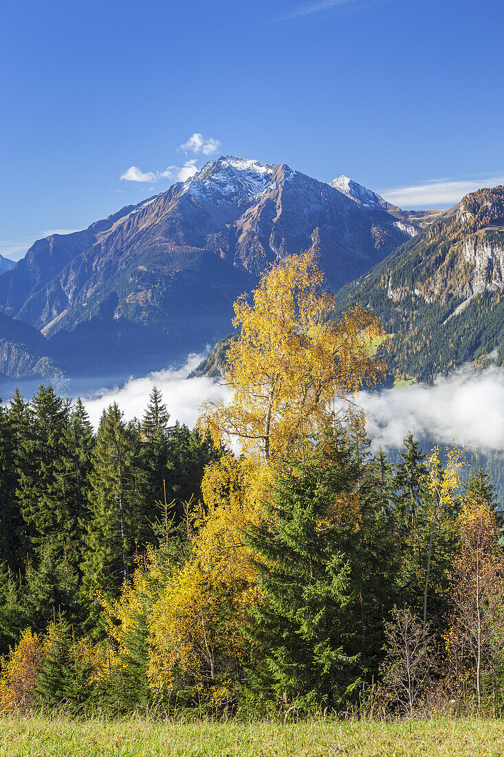 Grinbergspitzen of Tuxer Kamm in the Zillertal Alps and Penken mountain in the Tuxer Alps, Mayrhofen, Tirol, Austria, Europe