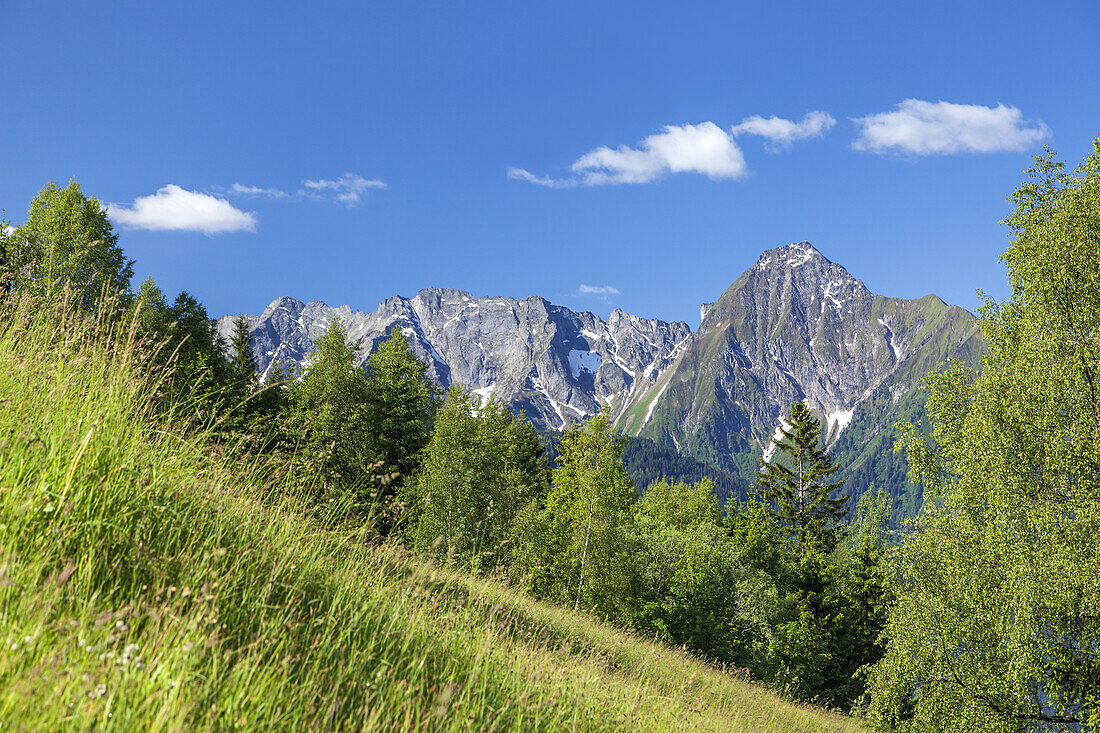 Tristner in den Zillertaler Alpen, Mayrhofen, Tirol, Österreich, Europa