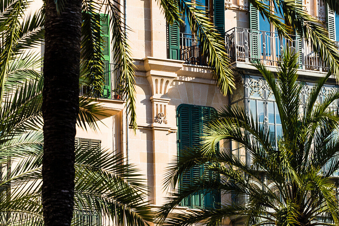 Prachtvolle Häuser in der Altstadt mit Palmen, Palma de Mallorca, Mallorca, Spanien