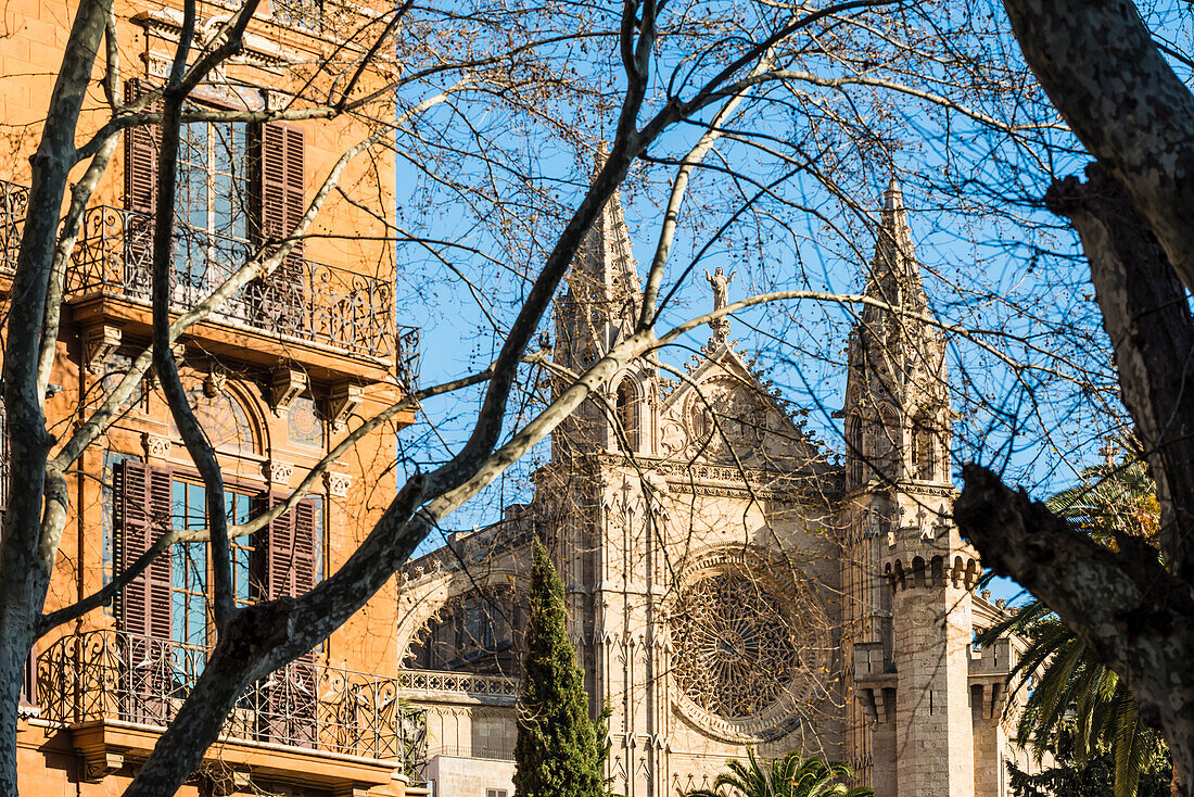 View of the boulevard Passeig del Born at the cathedral, Palma de Mallorca, Mallorca, Spain