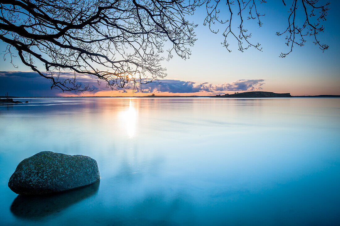 Tree and rock at the coast, Svendborg, Tasinge, Baltic Sea, Funen, Denmark