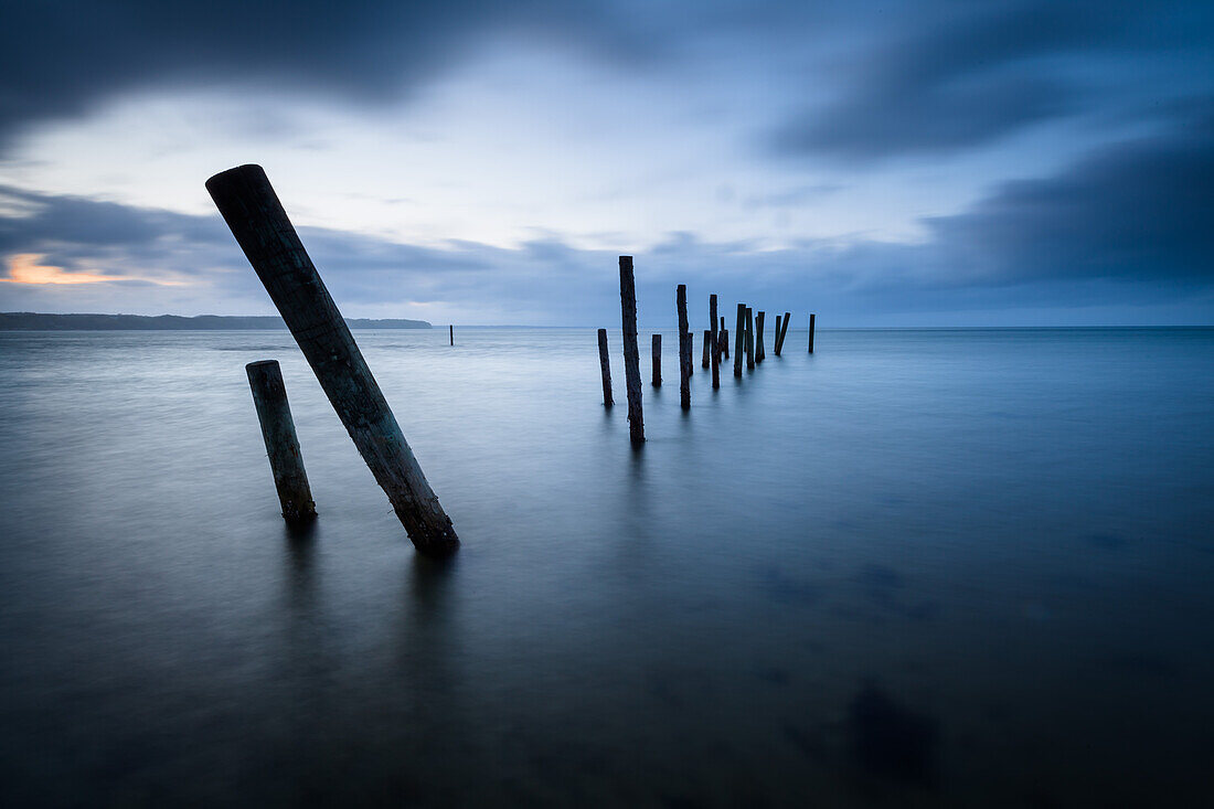 Wooden posts, Baring Strand, Middelfart, Baltic Sea, Funen, Denmark