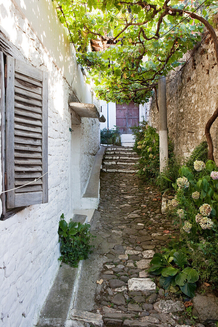 Alley at the UNESCO town of Berat, Berat, Berat, Albania