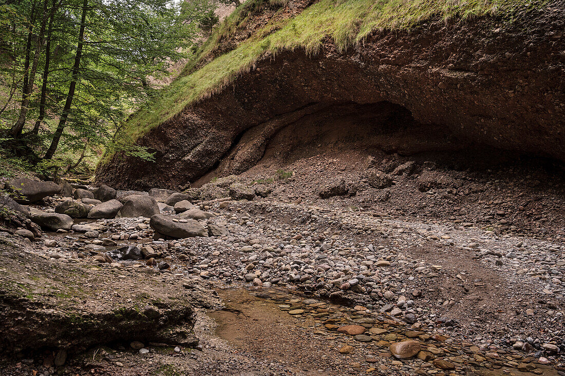 ' wilderness in canyon facing so called ''Ofenloch'', canton St. Gallen, Switzerland, Europe'