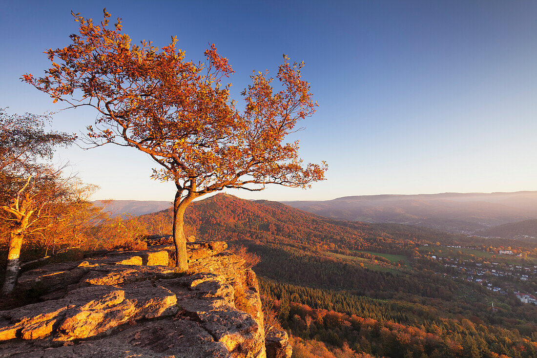 Blick von Battert Felsen, Merkur Berg, Baden Baden, Schwarzwald, Baden Württemberg, Deutschland, Europa