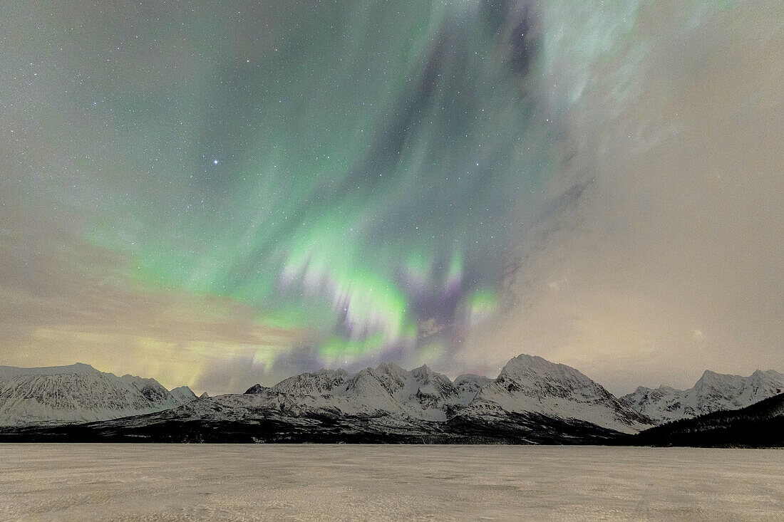 Der eisige See von Jaegervatnet umrahmt von den Nordlichtern (Aurora Borealis) und Sternenhimmel in der Polnacht, Lyngen Alpen, Troms, Norwegen, Skandinavien, Europa