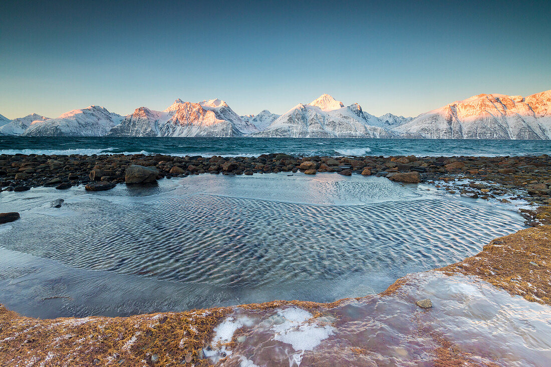 Felsen bedeckt mit Eis-Rahmen das gefrorene Meer umgeben von schneebedeckten Gipfeln im Morgengrauen, Djupvik, Lyngen Alpen, Troms, Norwegen, Skandinavien, Europa