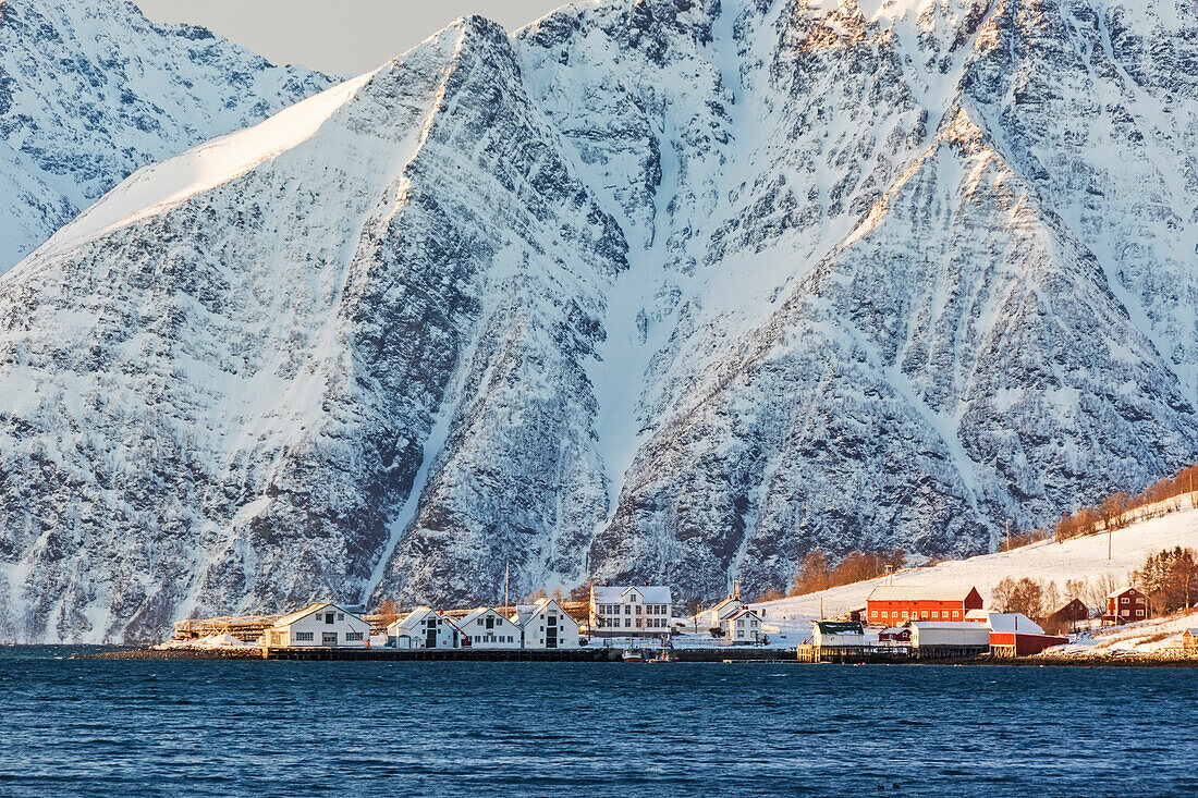 Das typische Fischerdorf Hamnes umrahmt von schneebedeckten Gipfeln und dem kalten Meer, Lyngen Alpen, Troms, Norwegen, Skandinavien, Europa