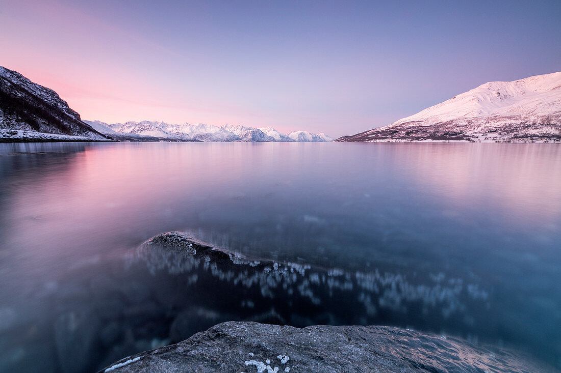 Pink sky and snowy peaks reflected in the frozen sea at sunset, Manndalen, Kafjord, Lyngen Alps, Troms, Norway, Scandinavia, Europe