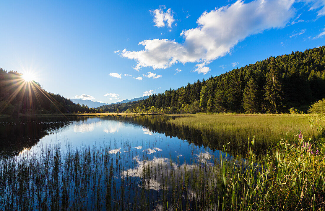 Dawn beleuchtet den Sumpf des Naturreservats von Pian di Gembro, Aprica, Provinz Sondrio, Valtellina, Lombardei, Italien, Europa