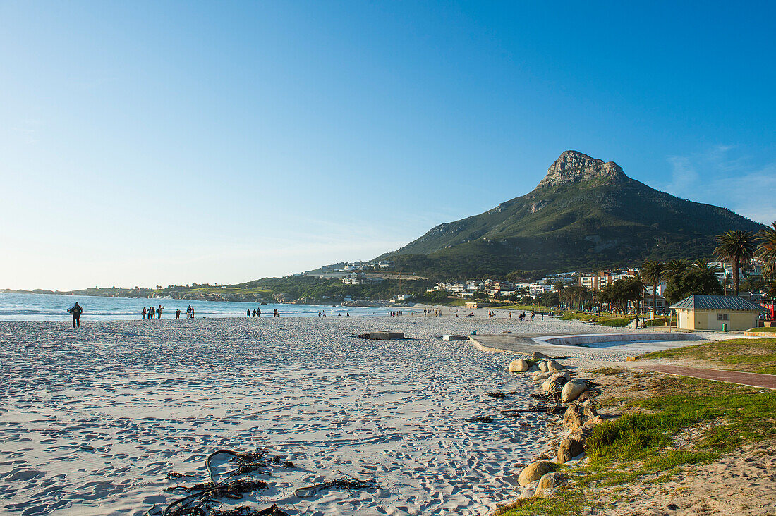 Ufergegend von Camps Bay mit dem Lions Head im Hintergrund, Vorort von Kapstadt, Südafrika, Afrika