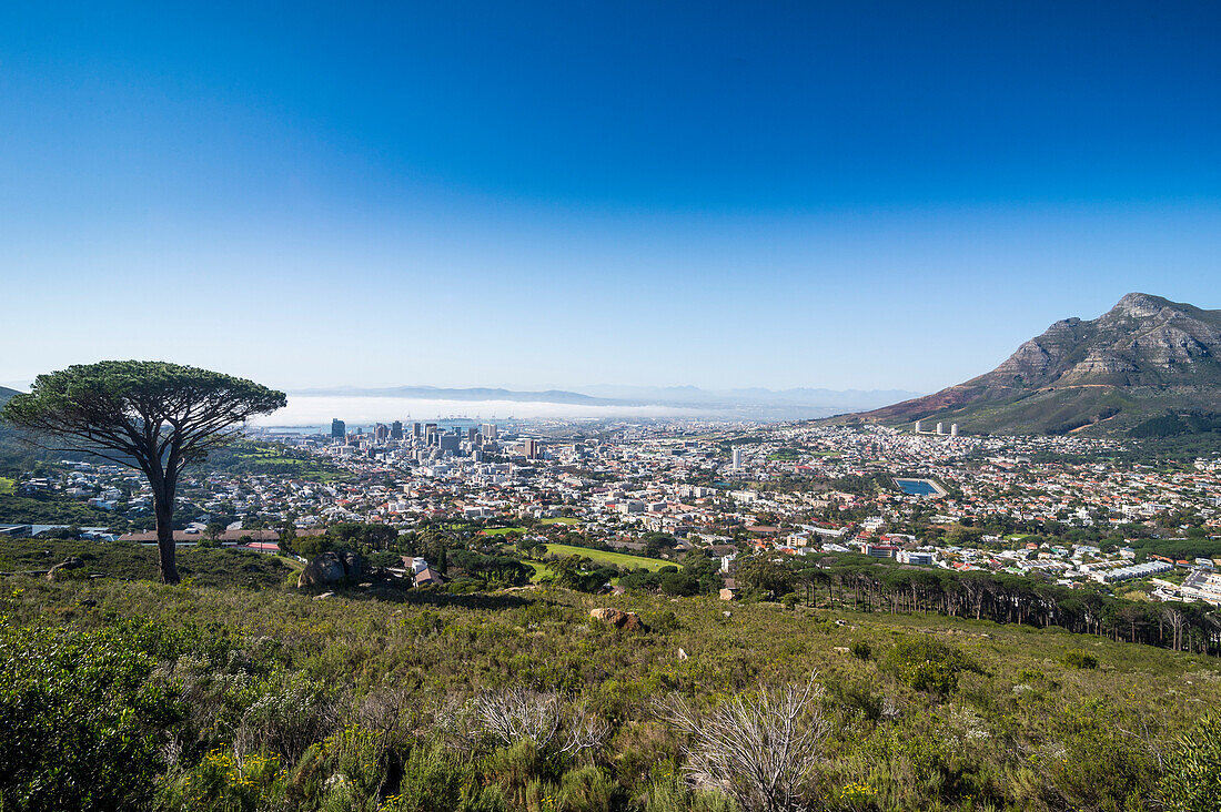 View over Cape Town, South Africa, Africa