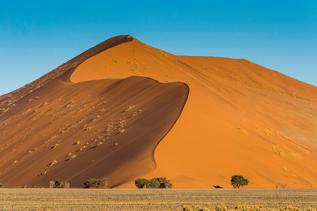 Riesen-Sanddüne 45, Sossusvlei, Namib-Naukluft-Nationalpark, Namibia, Afrika