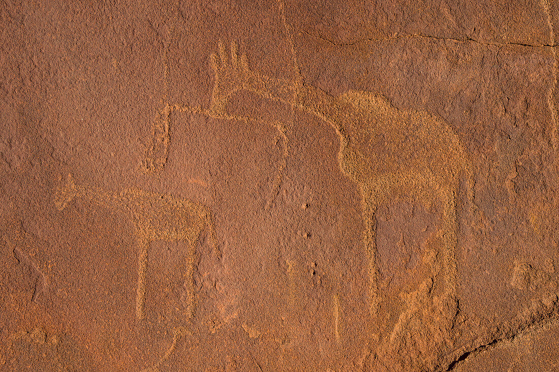 Alte Felsgravuren, Twyfelfontein, UNESCO Weltkulturerbe, Namibia, Afrika