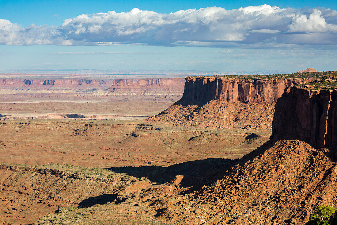 Felsformationen im Canyonlands Nationalpark, Moab, Utah, Vereinigte Staaten von Amerika, Nordamerika