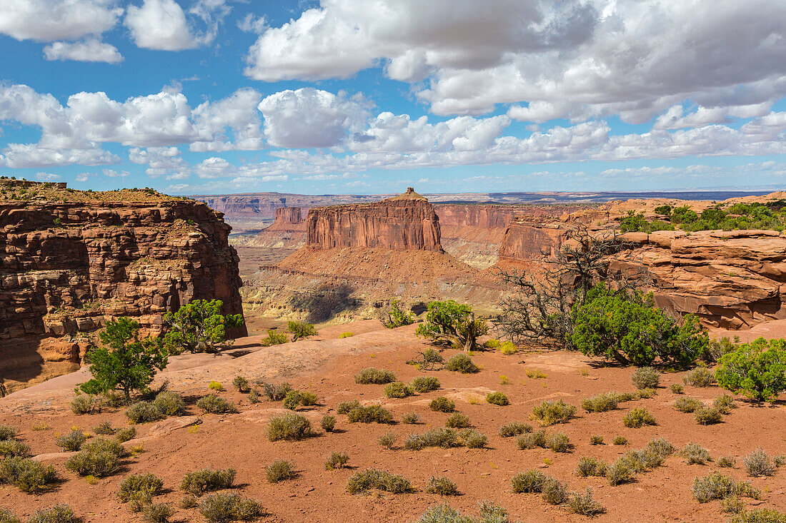 Canyonlands Nationalpark, Moab, Utah, Vereinigte Staaten von Amerika, Nordamerika